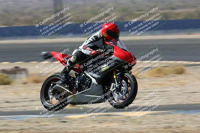 media/Apr-10-2022-SoCal Trackdays (Sun) [[f104b12566]]/Turn 14 (10am)/